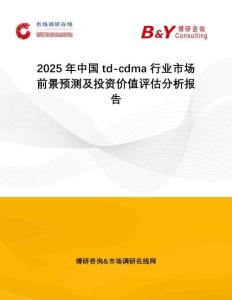 2025年中國td-cdma行業市場前景預測及投資價值評估分析報告