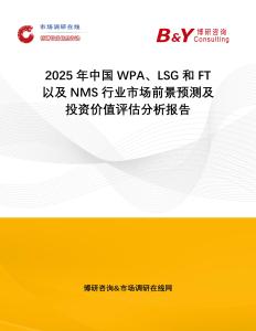 2025年中國WPA、LSG和FT以及NMS行業(yè)市場前景預(yù)測及投資價值評估分析報告