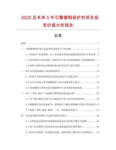2025及未來5年引擎鍍銅保護(hù)劑項(xiàng)目投資價(jià)值分析報(bào)告