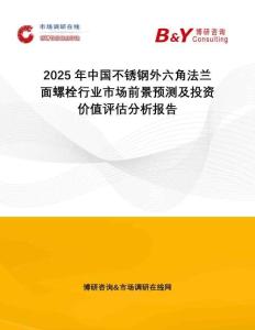 2025年中國不銹鋼外六角法蘭面螺栓行業(yè)市場前景預(yù)測及投資價(jià)值評估分析報(bào)告
