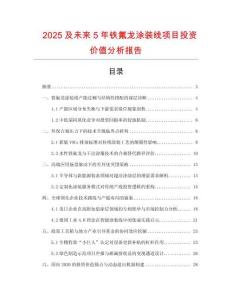 2025及未來5年鐵氟龍涂裝線項目投資價值分析報告