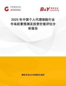 2025年中國個人代理保險行業市場前景預測及投資價值評估分析報告