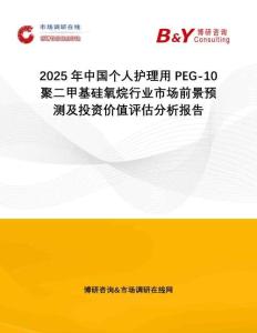 2025年中國個人護理用PEG-10聚二甲基硅氧烷行業市場前景預測及投資價值評估分析報告