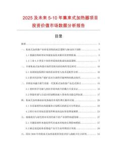 2025及未來5-10年集束式加熱器項目投資價值市場數據分析報告