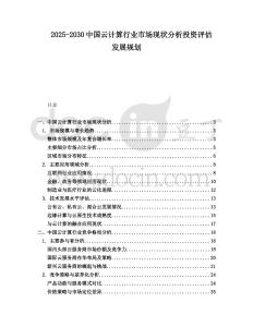 2025-2030中國云計算行業市場現狀分析投資評估發展規劃