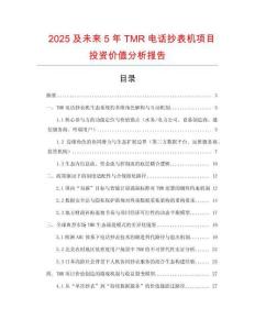 2025及未來5年TMR電話抄表機項目投資價值分析報告