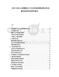2025-2030山西煤炭化工行業市場供需態勢分析及循環經濟評估研究報告