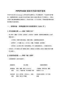 PIPEPHASE超級實用基本操作指南