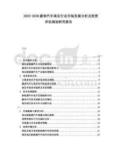 2025-2030蔚來汽車南京行業市場發展分析及投資評估規劃研究報告