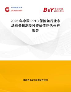 2025年中國PPTC保險絲行業市場前景預測及投資價值評估分析報告