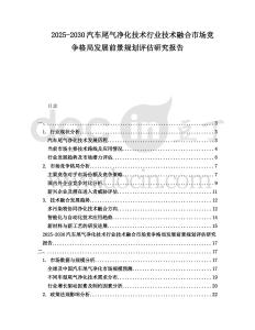 2025-2030汽車尾氣凈化技術(shù)行業(yè)技術(shù)融合市場競爭格局發(fā)展前景規(guī)劃評估研究報告