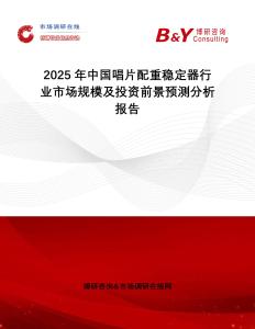 2025年中國唱片配重穩定器行業市場規模及投資前景預測分析報告