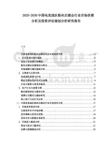 2025-2030中國電競戰隊粉絲后援會行業市場供需分析及投資評估規劃分析研究報告