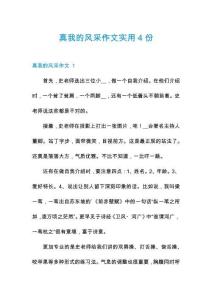 真我的風(fēng)采作文實(shí)用4份