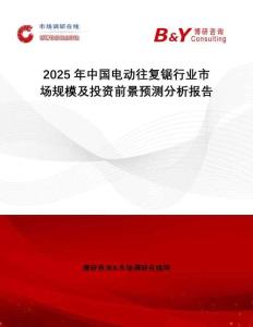 2025年中國電動往復鋸行業市場規模及投資前景預測分析報告