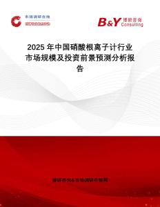 2025年中國硝酸根離子計行業市場規模及投資前景預測分析報告