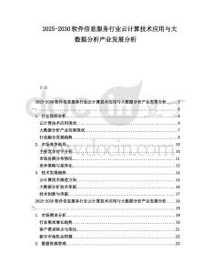 2025-2030軟件信息服務行業云計算技術應用與大數據分析產業發展分析