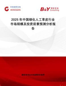 2025年中國綠化人工草皮行業市場規模及投資前景預測分析報告