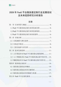 2026年PaaS平臺服務器定制行業發展現狀及未來趨勢研究分析報告