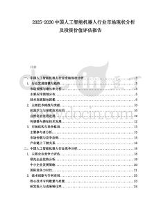 2025-2030中國人工智能機器人行業(yè)市場現(xiàn)狀分析及投資價值評估報告