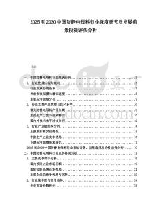 2025至2030中國防靜電母料行業(yè)深度研究及發(fā)展前景投資評估分析
