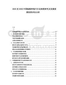 2025至2030中國驗(yàn)船師卷尺行業(yè)深度研究及發(fā)展前景投資評估分析