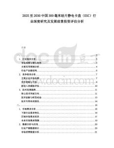 2025至2030中國300毫米硅片靜電卡盤（ESC）行業深度研究及發展前景投資評估分析