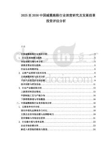 2025至2030中國減震跑鞋行業深度研究及發展前景投資評估分析