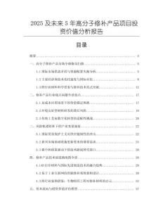 2025及未來(lái)5年高分子修補(bǔ)產(chǎn)品項(xiàng)目投資價(jià)值分析報(bào)告