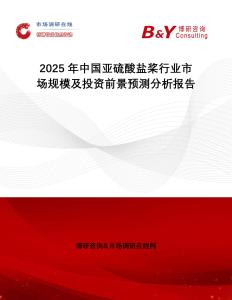 2025年中國亞硫酸鹽槳行業(yè)市場規(guī)模及投資前景預測分析報告