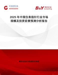 2025年中國儀表指針行業市場規模及投資前景預測分析報告