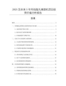 2025及未來5年吊鉤拋丸清理機項目投資價值分析報告