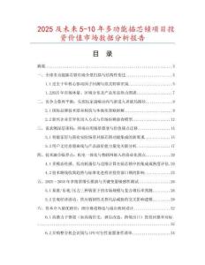 2025及未來5-10年多功能插芯鎖項目投資價值市場數據分析報告