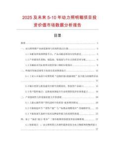 2025及未來5-10年動力照明箱項目投資價值市場數(shù)據(jù)分析報告