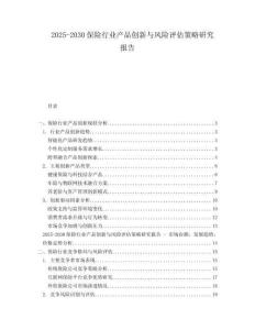 2025-2030保險(xiǎn)行業(yè)產(chǎn)品創(chuàng)新與風(fēng)險(xiǎn)評(píng)估策略研究報(bào)告