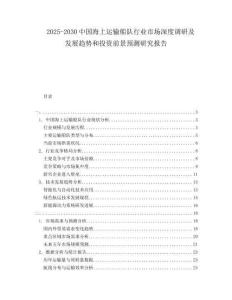 2025-2030中國海上運輸船隊行業(yè)市場深度調(diào)研及發(fā)展趨勢和投資前景預測研究報告