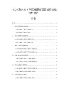 2025及未來5年活佛腰帶項目投資價值分析報告