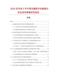 2025至未來5年中國試漏液市場數(shù)據(jù)分析及競爭策略研究報(bào)告
