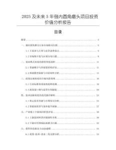 2025及未來5年倒內圓角磨頭項目投資價值分析報告
