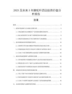 2025及未來5年棘輪桿項目投資價值分析報告