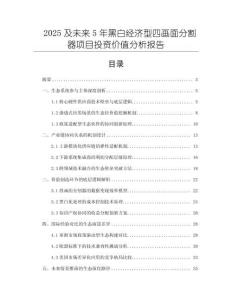 2025及未來5年黑白經濟型四畫面分割器項目投資價值分析報告