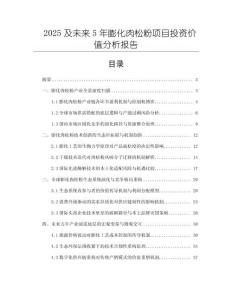 2025及未來(lái)5年膨化肉松粉項(xiàng)目投資價(jià)值分析報(bào)告