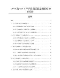 2025及未來5年手用刷項目投資價值分析報告