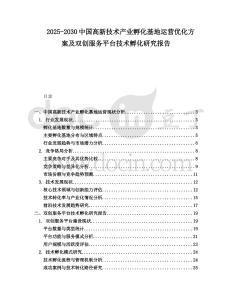 2025-2030中國高新技術(shù)產(chǎn)業(yè)孵化基地運(yùn)營優(yōu)化方案及雙創(chuàng)服務(wù)平臺技術(shù)孵化研究報告
