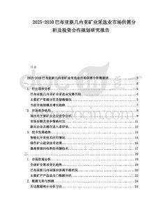 2025-2030巴布亞新幾內(nèi)亞礦業(yè)采選業(yè)市場供需分析及投資合作規(guī)劃研究報告