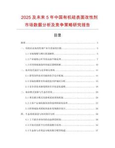 2025及未來5年中國有機硅表面改性劑市場數據分析及競爭策略研究報告