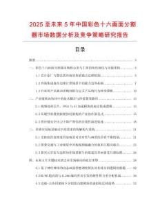 2025至未來5年中國彩色十六畫面分割器市場數據分析及競爭策略研究報告