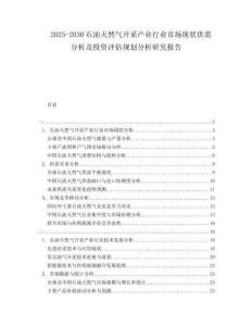 2025-2030石油天然氣開采產業行業市場現狀供需分析及投資評估規劃分析研究報告