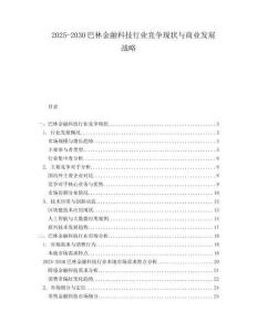 2025-2030巴林金融科技行業(yè)競爭現(xiàn)狀與商業(yè)發(fā)展戰(zhàn)略