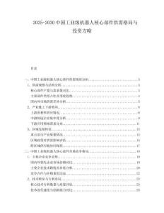 2025-2030中國工業級機器人核心部件供需格局與投資方略